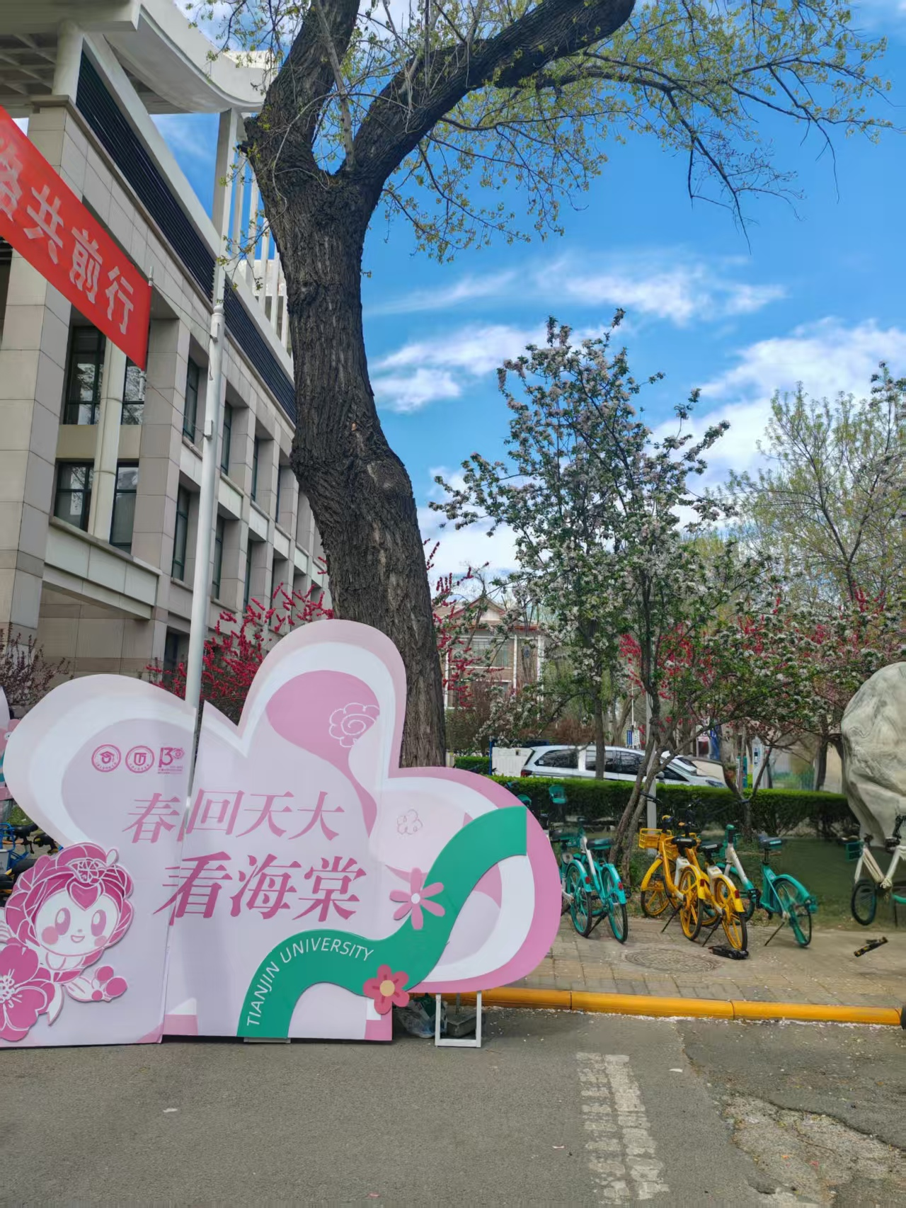 image-20260103220722658