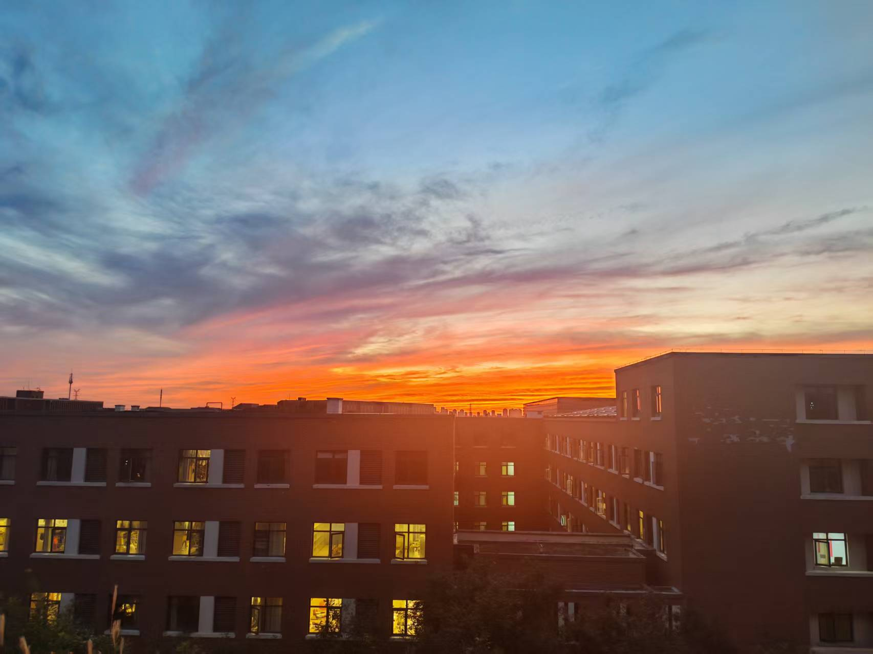 image-20260103230446623