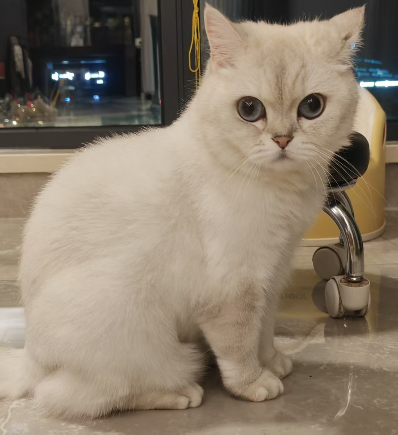 image-20260103233539862